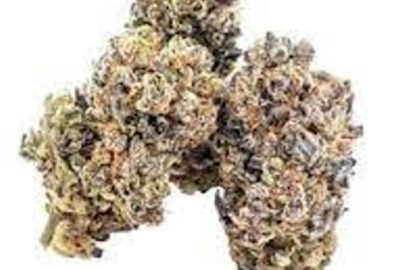 GREENSHIFT - GS | Cake Pops