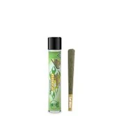 Cali-Blaze - Key Lime Pie 1g Tarantula Infused Preroll