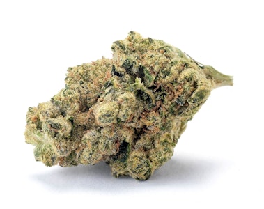 MADRONE - Madrone | No. 34 | 3.5g