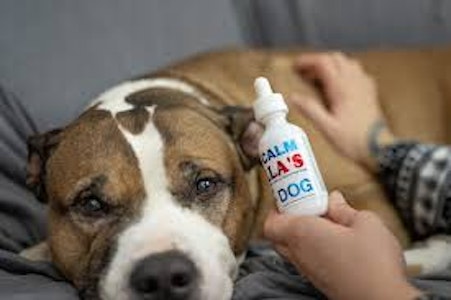 Zilla's - Zilla's - Calm Dog Drops CBD Tincture 1280mg CBD 250mg CBN