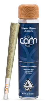 CAM - Apple Pie 1g Main Image