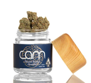 Lady Pink 3.5G