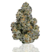 CAM | Bubba's Girl | 3.5g
