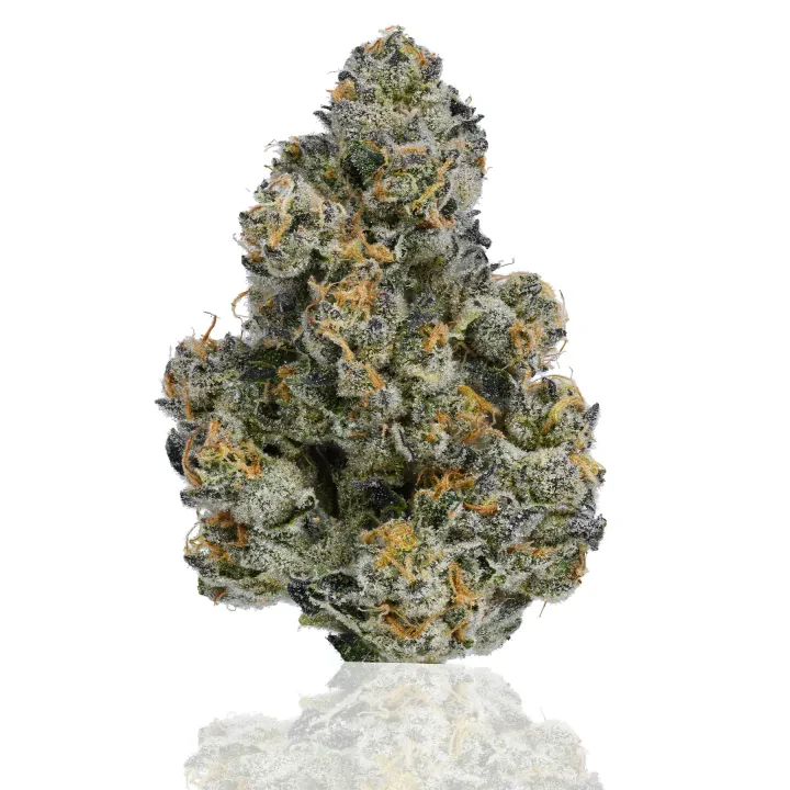 CAM - CAM | Bubba's Girl | 3.5g Main Image