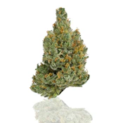 CAM | GG #4 | 3.5g