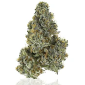 CAM | Lemon Shortbread | 3.5g