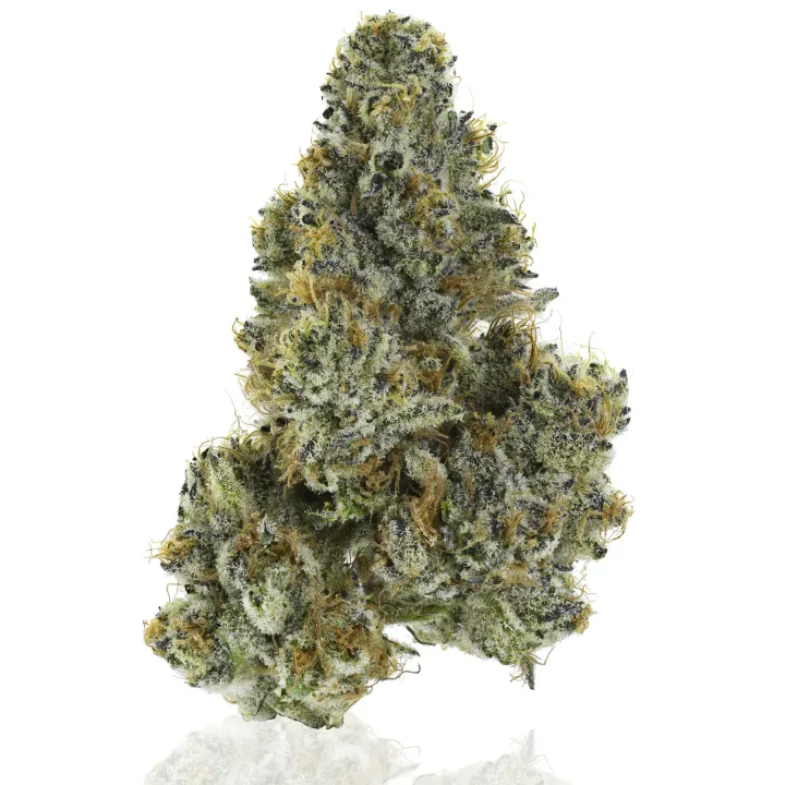 CAM - CAM | Lemon Shortbread | 3.5g Main Image
