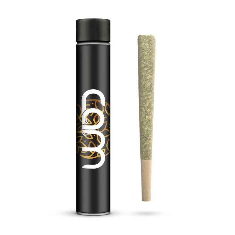 CAM - CAM Devil Driver 1g Pre-Roll Main Image