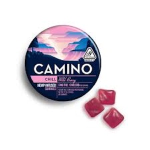 CAMINO - CAMINO | WILD BERRY - 20PK | EDIBLE | 100MG