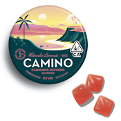 CAMINO | WATERMELON LEMONADE - 20PK | EDIBLE | 100MG