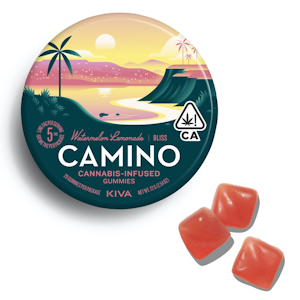 CAMINO - CAMINO | WATERMELON LEMONADE - 20PK | EDIBLE | 100MG