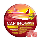 CAMINO | RASPBERRY LEMONADE - 10PK | EDIBLE | 100MG
