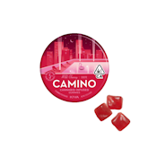 Camino Wild Cherry ‘Excite’ Gummies 100mg