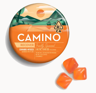 CAMINO - [Camino] CBG Gummies - 100mg - 5:10 Freshly Squeezed (H)