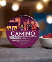 Camino - Camino - Gummies - Holiday Punch- 100mg Main Image