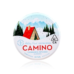 CAMINO - Edible - Holiday Punch - Gummies - 100MG 