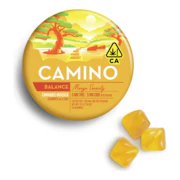 Camino | Mango Serenity 1:1 | Balance | CBD Gummies | 100mg