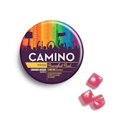 Camino | Pride Passionfruit Punch | Gummies | [100mg] | Hybrid