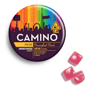 Camino | Passionfruit Punch | Pride | Gummies | 20pk | 100mg