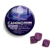 Camino | Sours Blackberry Dream 1:1:1 | Deep Sleep | CBN Gummies | 10pk | 100mg