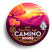 Camino | Sours Orchard Peach 1:1 | Balance | CBD Gummies | 10pk | 100mg