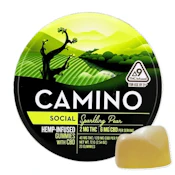 Camino | Sparkling Pear | 40MG 2:6 CBD