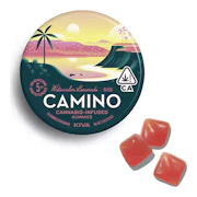 Camino | Watermelon Lemonade | Bliss | Gummies | 20pk | 100mg