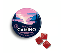 Kiva Camino | Gummies (20ct) | Wild Berry | 100 mg