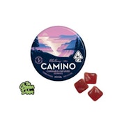 KIVA CAMINO - Chill Wild Berry - Gummies - 100MG