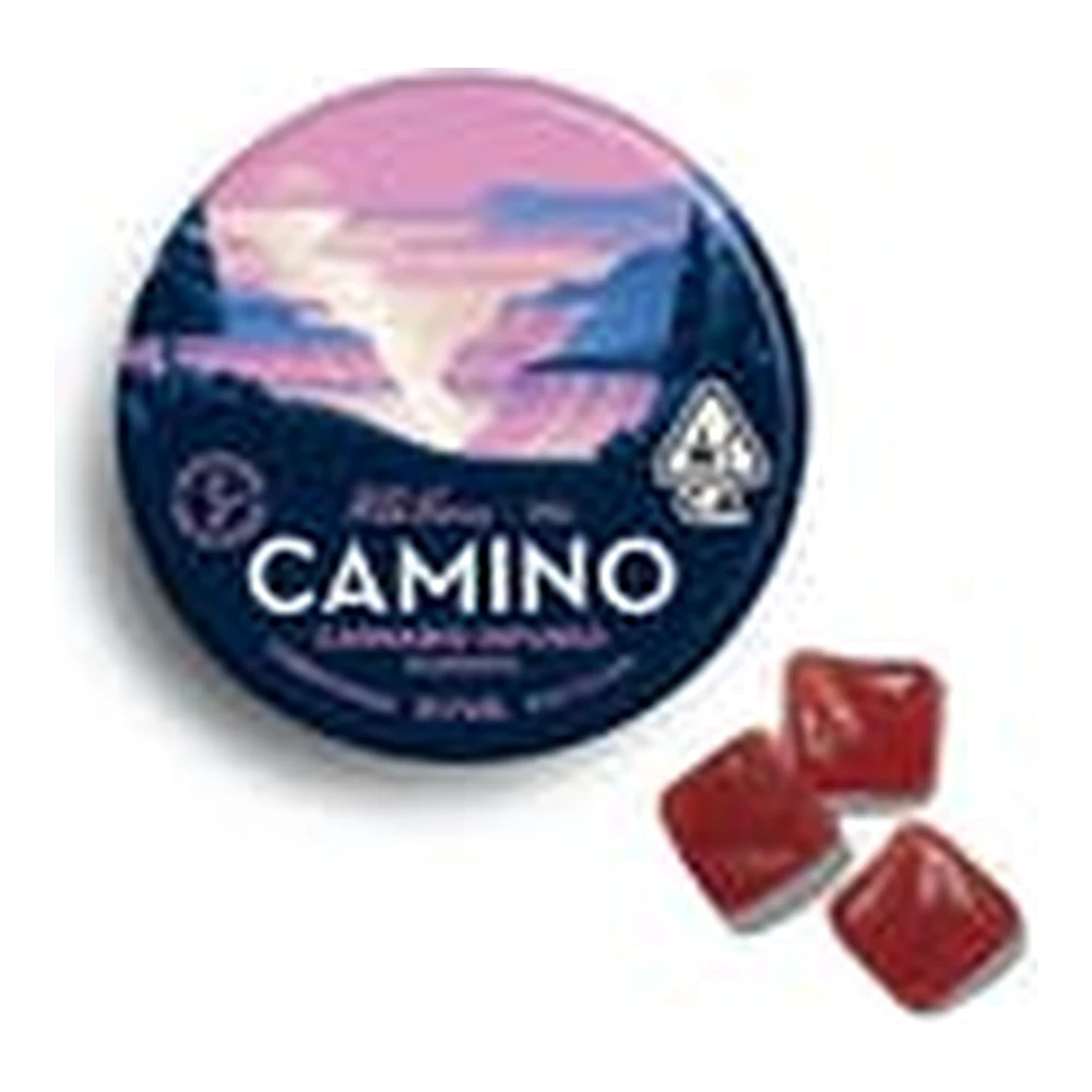 Kiva Confections - Camino | Wild Berry | Gummies | 100mg Main Image