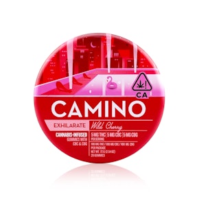 CAMINO - Edible - Wild Cherry - 5:5:5 - 100MG