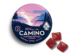 Camino - 'Chill' Wild Berry - 100mg Gummies - 20pk