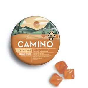 Camino  Gummies - Freshly Squeezed 2:1 CBG:THC | Camino Gummies 