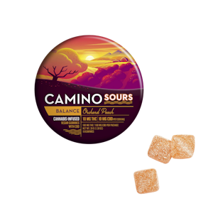 Camino Sours - Camino Sours - Orchard Peach - 100mg