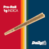 Daily! Campfire 1g Pre-roll 0094