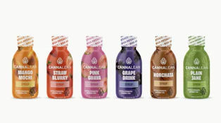 Cannalean Horchata 1000mg Syrup