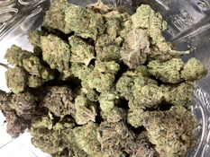 Crownpoint- Candied Zu Deli Flower