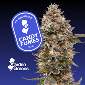 GARDEN GREENS - [REC] Garden Greens | Candy Fumez | 7g Big Bud Flower