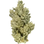 Cannabiotix | Gluetopia | 3.5g