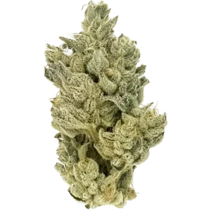 CANNABIOTIX - Cannabiotix | Gluetopia | 3.5g