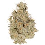 Cannabiotix | GM-UHOH | 3.5g