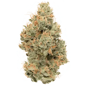 CANNABIOTIX - Cannabiotix | Tropicanna | 3.5g
