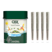 CANNABIOTIX | Tropicanna | 4pk