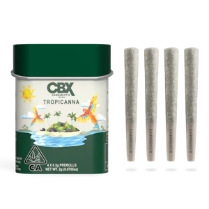 CANNABIOTIX - CANNABIOTIX | Tropicanna | 4pk