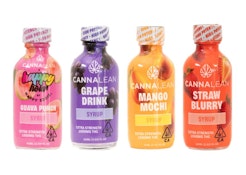 Grape Drink Shots - 1000mg Tincture - Cannalean