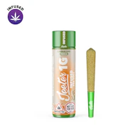Jeeter | Cannalope | Infused Pre Roll | [1g]