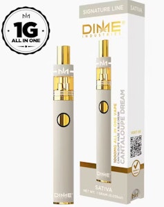 DIME INDUSTRIES - DIME 1g Cantaloupe Dream AIO Disposable