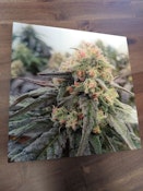 Cannabis Canvas Art