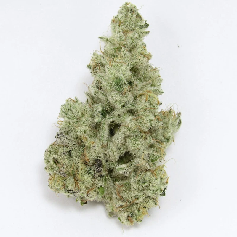 Sunhouse - Sunhouse LLC - Cap Junky - Deli Flower Main Image