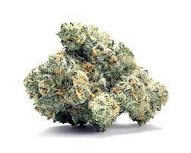 ELEVATED - Sub Zero 14g Pack Flower